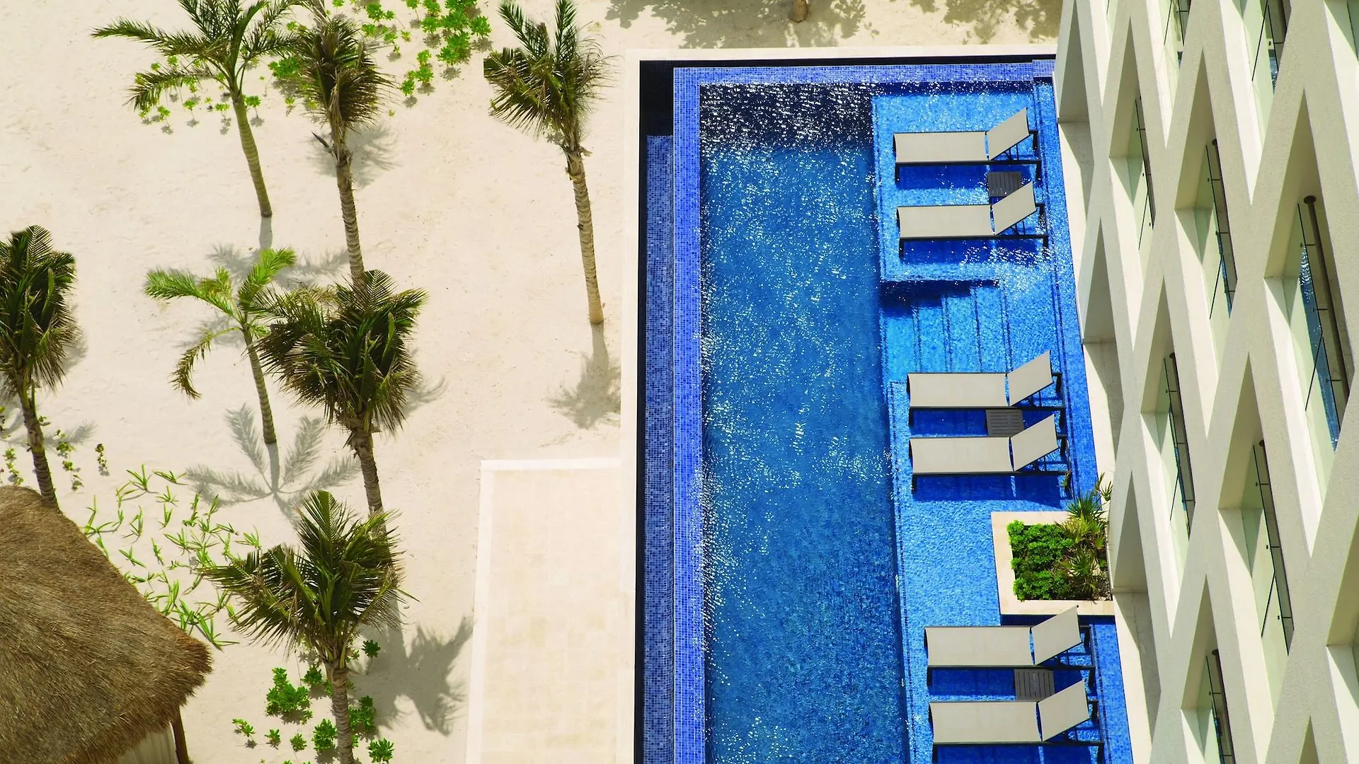 Resort Hyatt Ziva Cancun All-Inclusive (Adults Only)