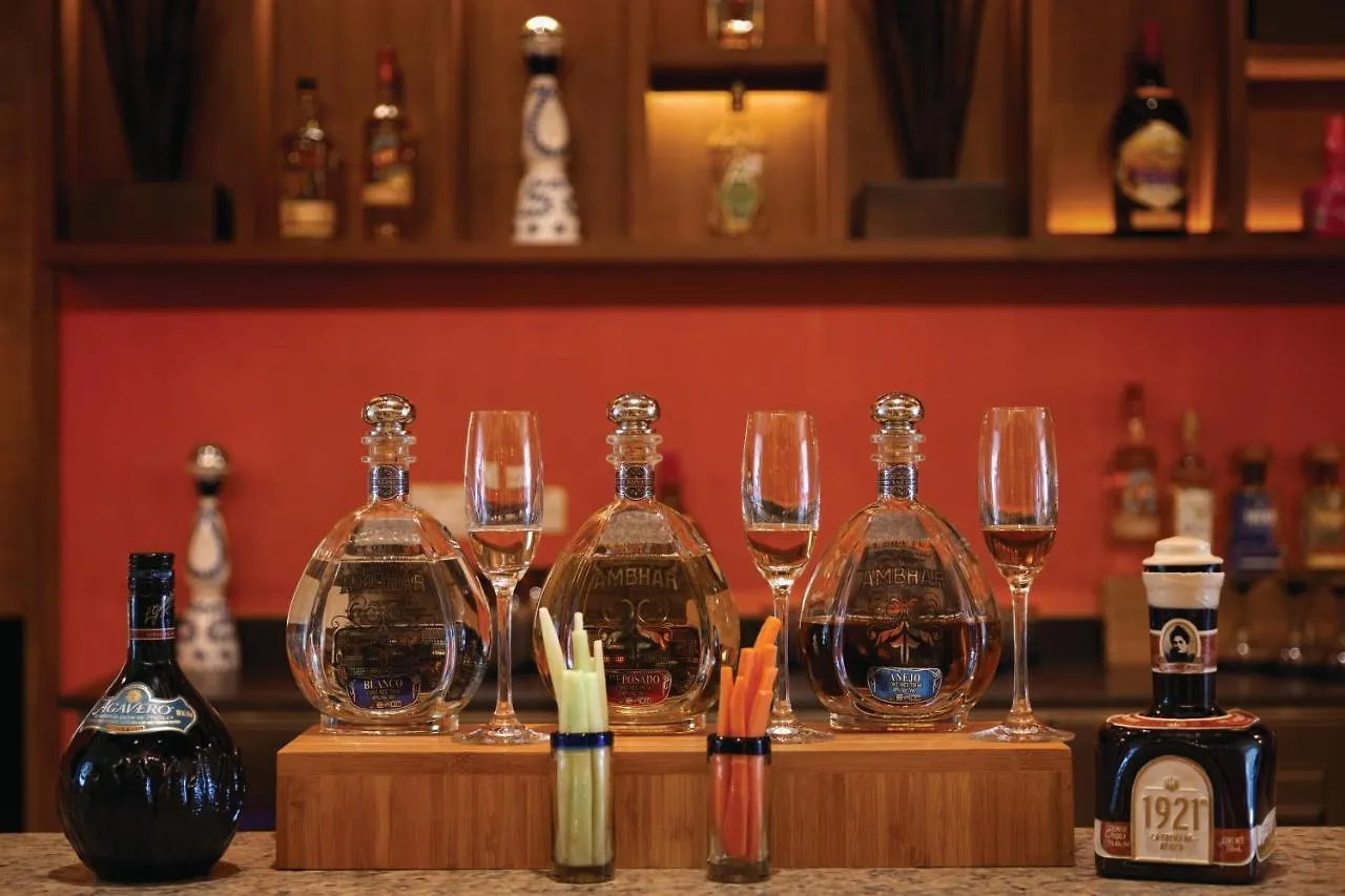 Hyatt Ziva Cancun All-Inclusive (Adults Only)